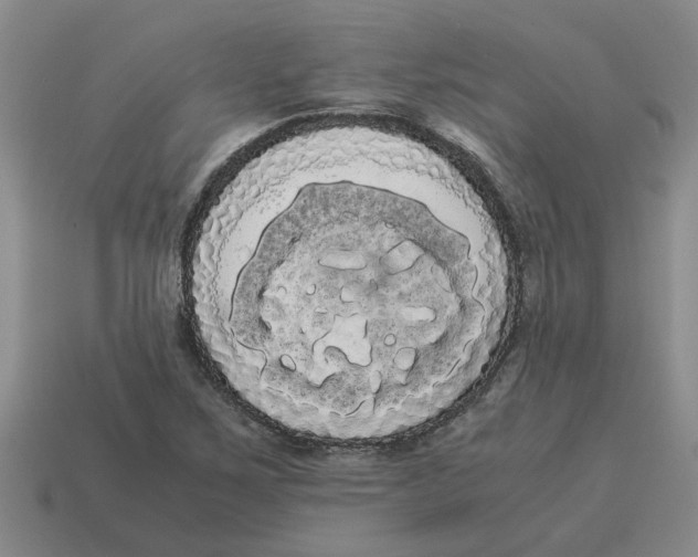 X0000114191267200911061355