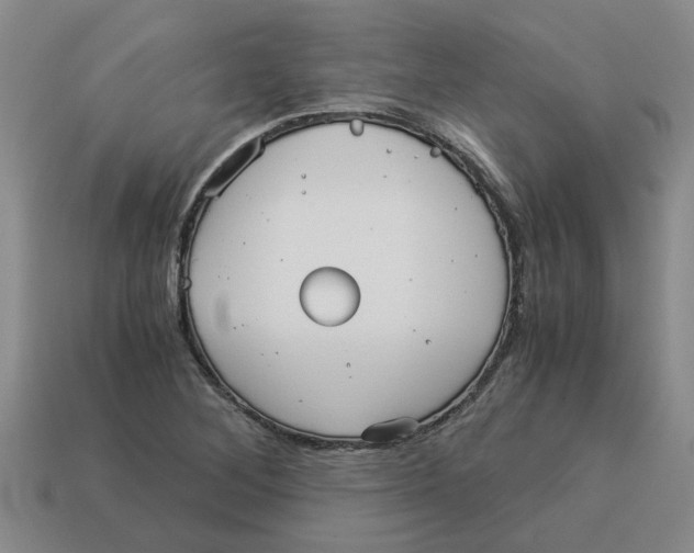 X0000114191268200911061355