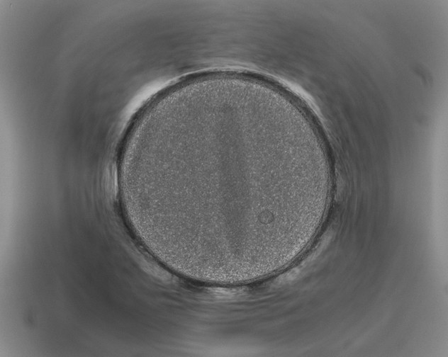 X0000114191271200911061355