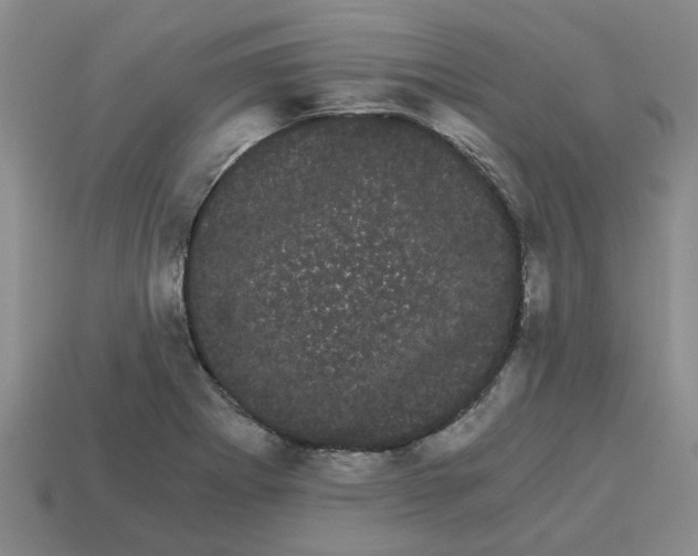 X0000114191273200911061355