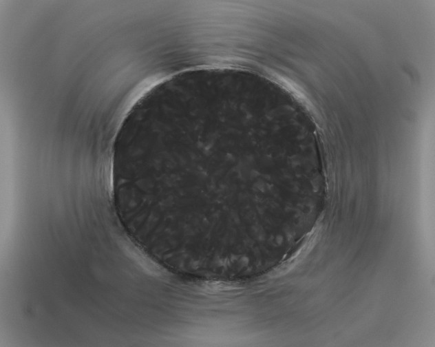X0000114191275200911061355