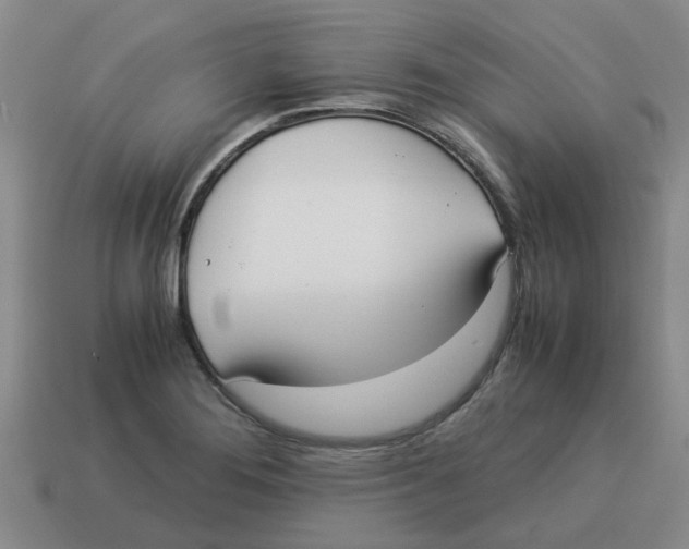 X0000114191276200911061355