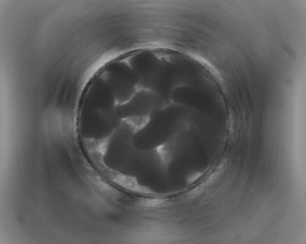 X0000114191278200911061355