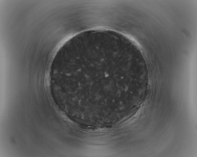 X0000114191279200911061355