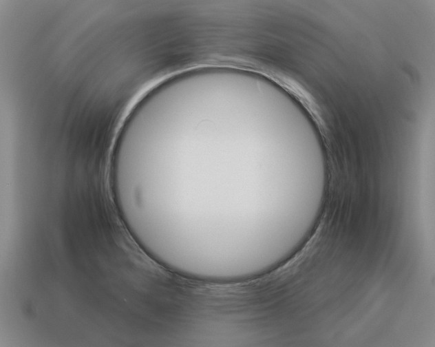X0000114191280200911061355