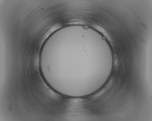 X0000114191282200911061355
