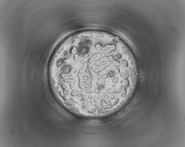 X0000114191283200911061355