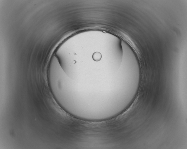 X0000114191284200911061355