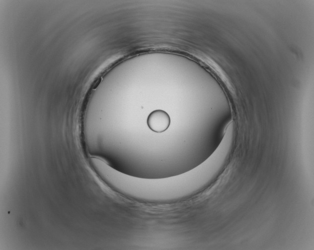 X0000114191285200911061355