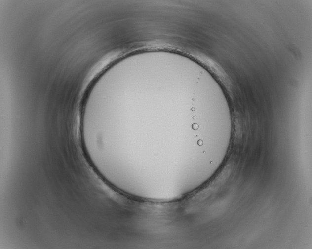 X0000114191286200911061355
