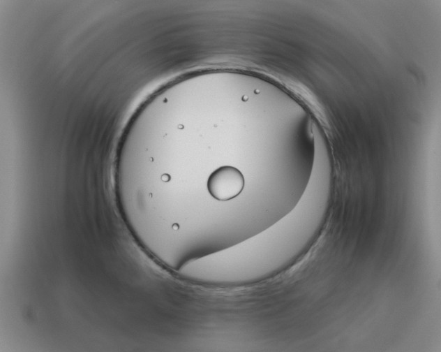 X0000114191288200911061355