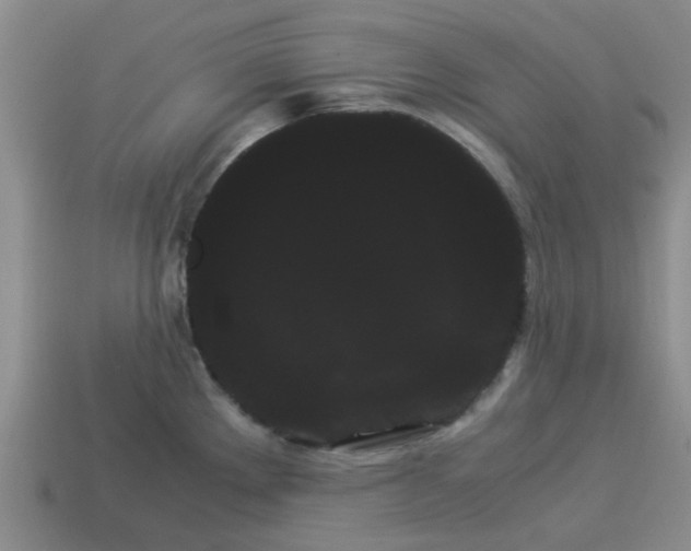 X0000114191289200911061355