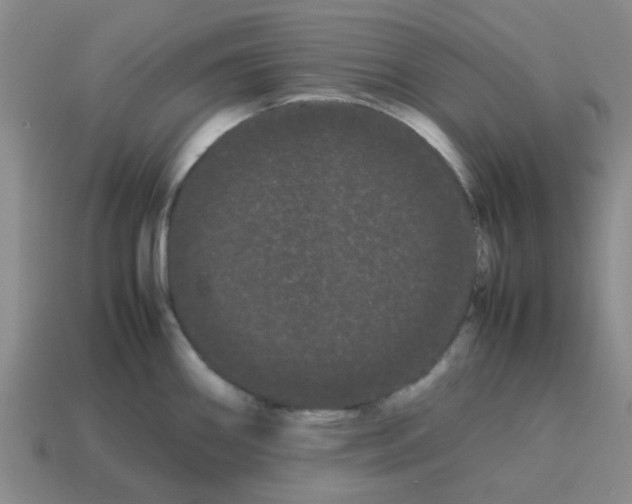 X0000114191290200911061355