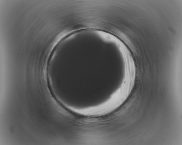 X0000114191291200911061355