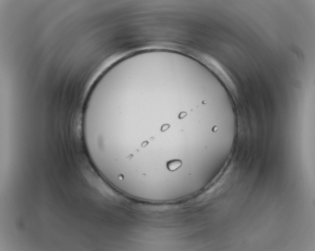 X0000114191292200911061355