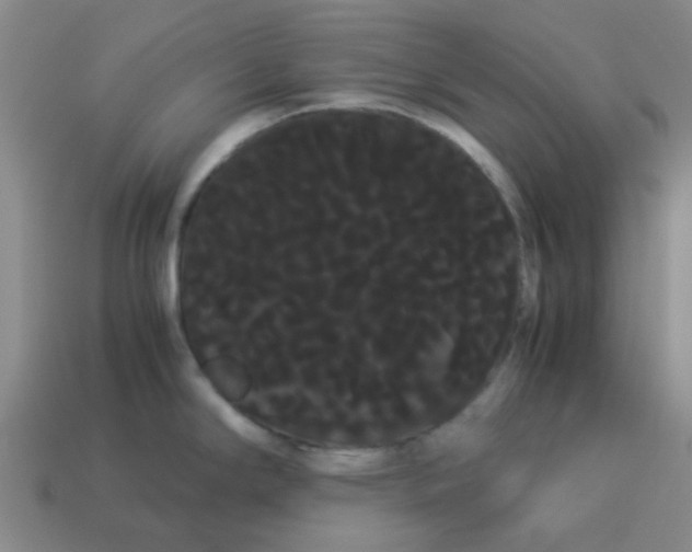X0000114191294200911061355