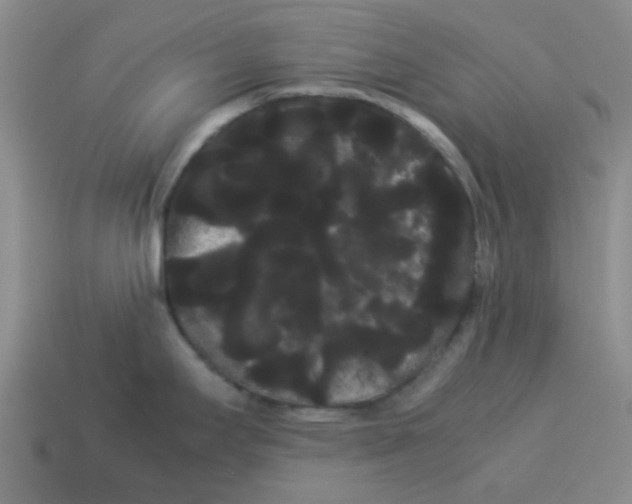 X0000114191295200911061355