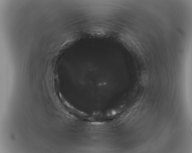 X0000114191297200911061354