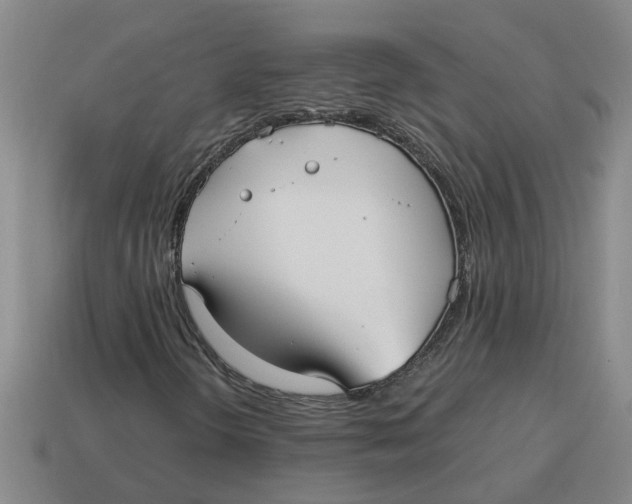 X0000114191298200911061354