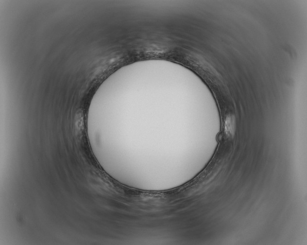 X0000114191299200911061354