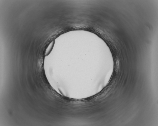 X0000114191300200911061354