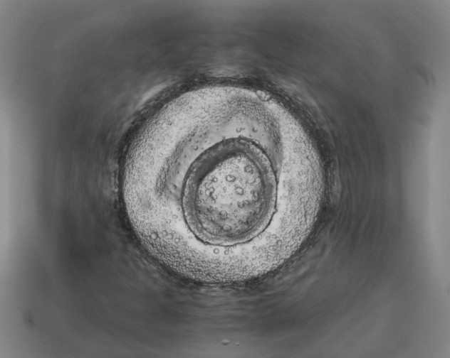X0000114191301200911061354