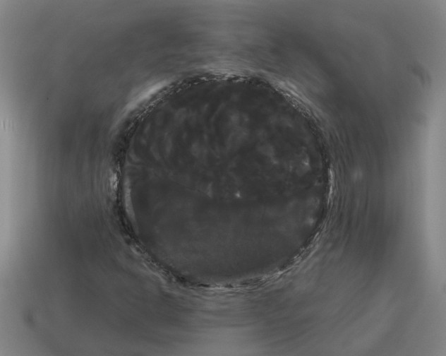 X0000114191302200911061354