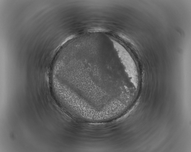 X0000114191305200911061354