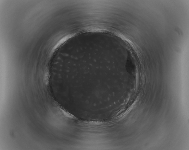 X0000114191306200911061354