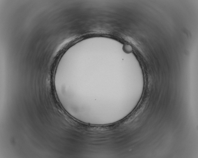 X0000114191307200911061354