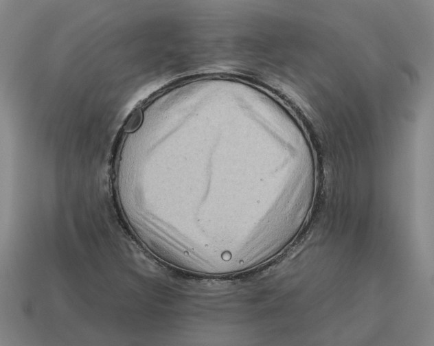 X0000114191308200911061354
