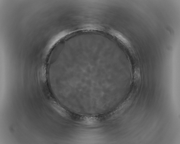 X0000114191310200911061354