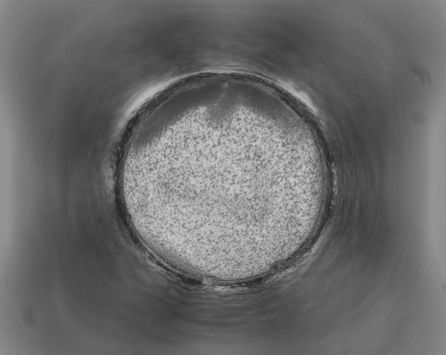 X0000114191311200911061354