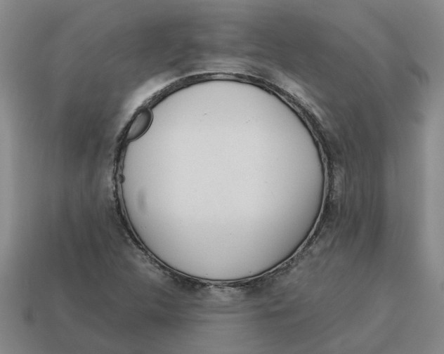 X0000114191312200911061354