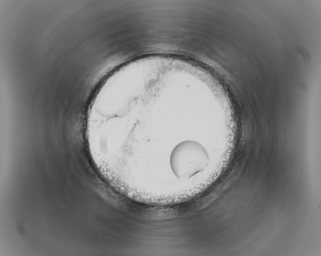 X0000114191314200911061354