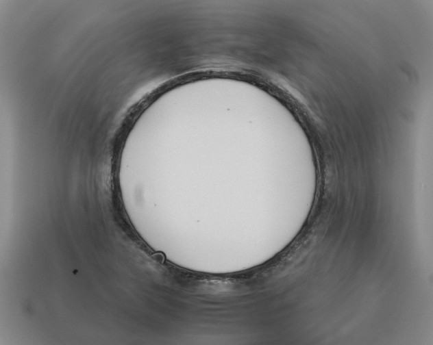 X0000114191315200911061354