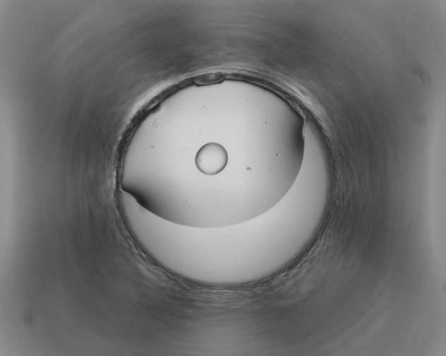 X0000114191316200911061354