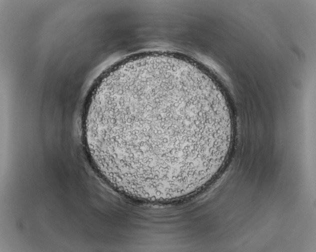 X0000114191318200911061354