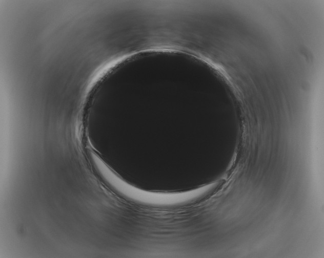 X0000114191319200911061354