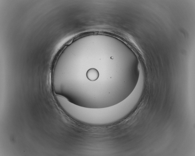 X0000114191320200911061354