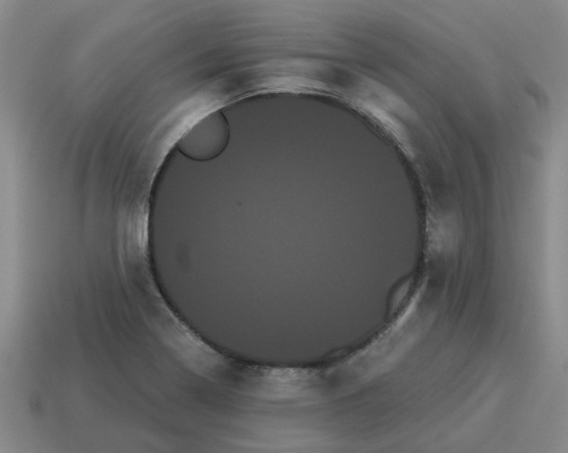 X0000114191322200911061354