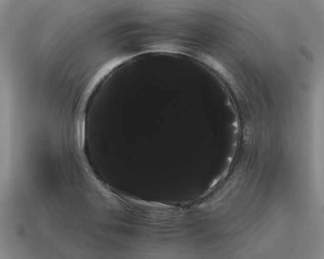X0000114191323200911061355