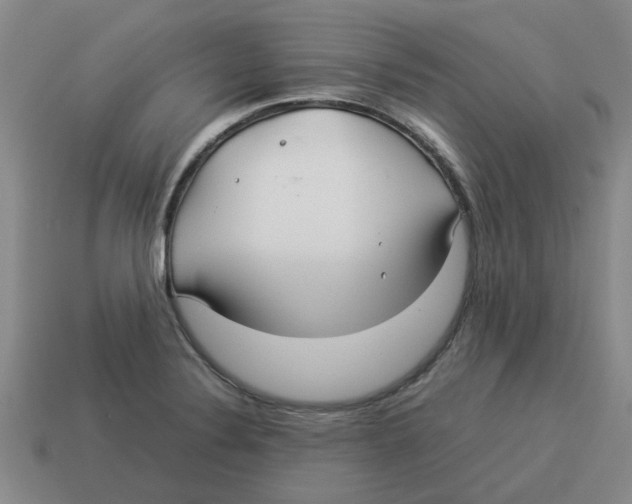 X0000114191324200911061355