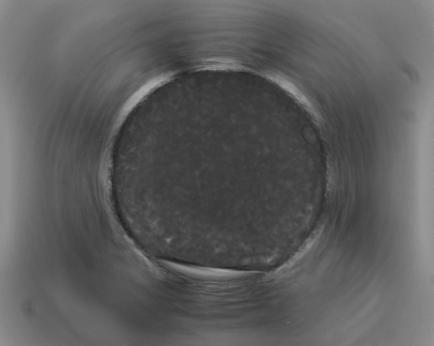 X0000114191325200911061355