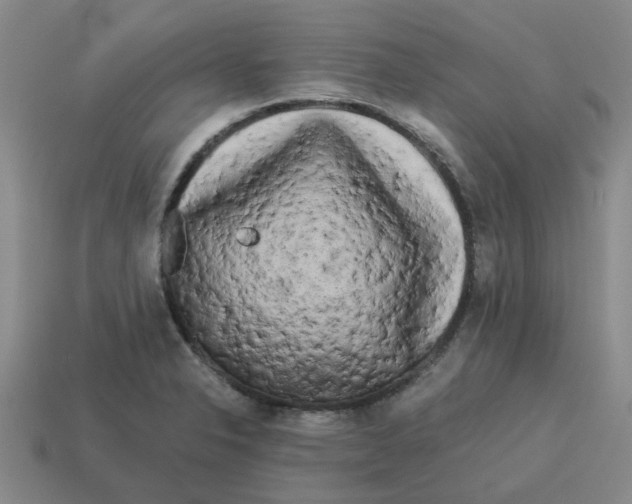X0000114191326200911061355