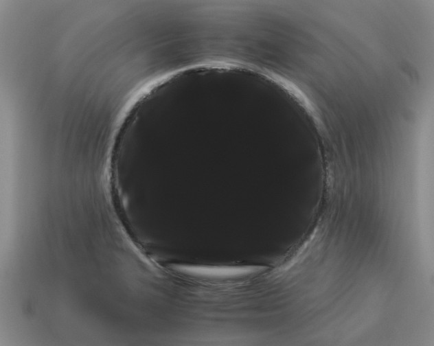 X0000114191327200911061355