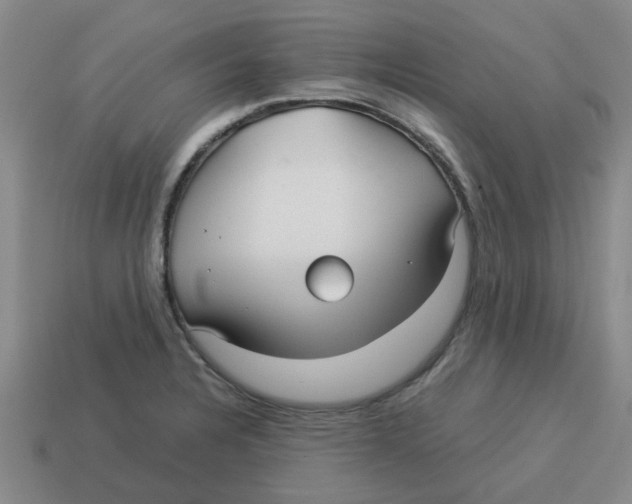 X0000114191328200911061355