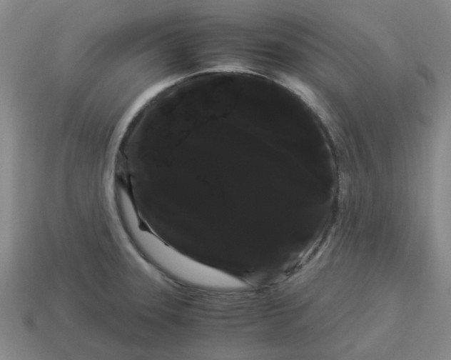 X0000114191331200911061355