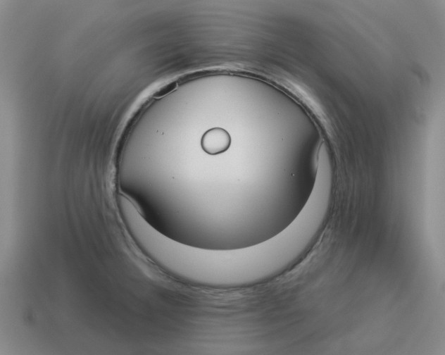 X0000114191332200911061355