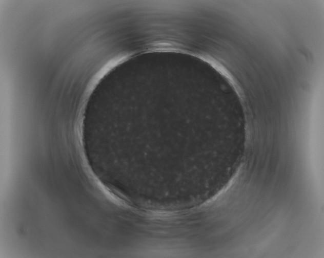 X0000114191333200911061355